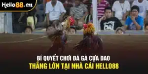 Bí quyết chơi đá gà cựa dao hiệu quả tại nhà cái HELLO88 