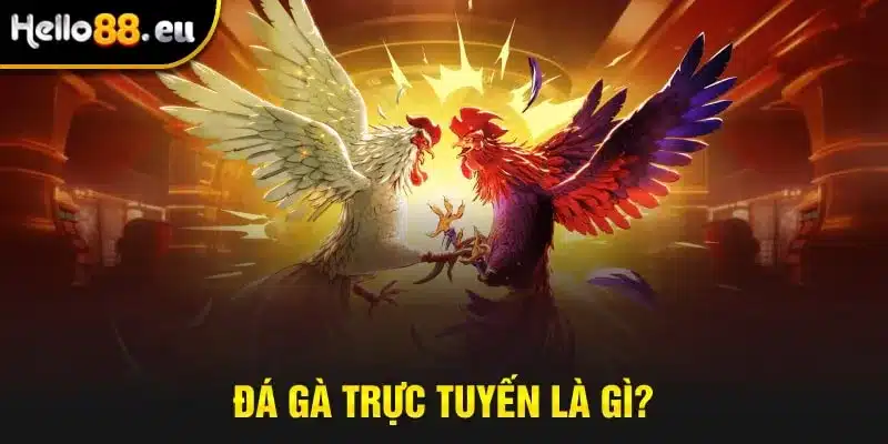 Đá gà trực tuyến là gì? Đá gà trực tuyến là gì?