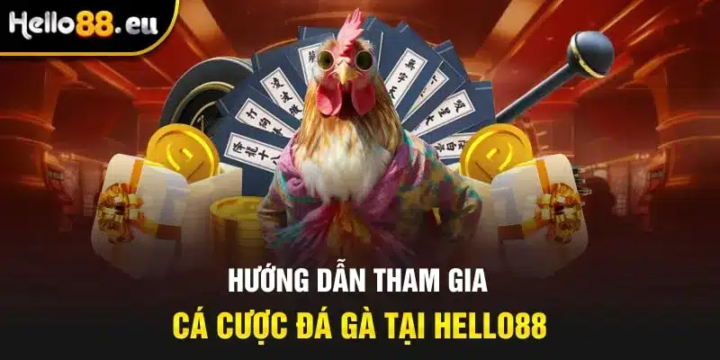 Hướng dẫn tham gia cá cược đá gà tại Hello88 Hướng dẫn tham gia cá cược đá gà tại Hello88