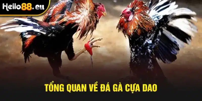 Ngày mai 17/6 em off theo lịch đã đăng ký ạ Ngày mai 17/6 em off theo lịch đã đăng ký ạ